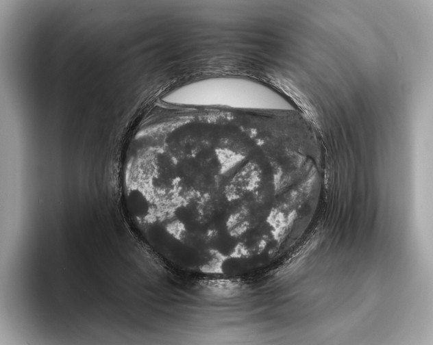 X0000095540449200801111436