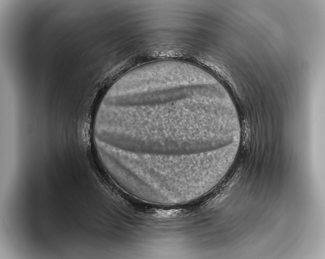 X0000095540450200801111436