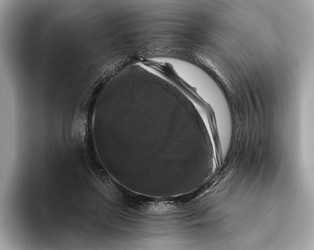 X0000095540451200801111436