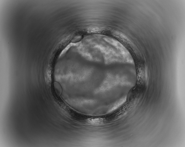 X0000095540452200801111436