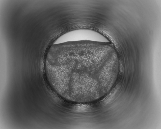 X0000095540453200801111436