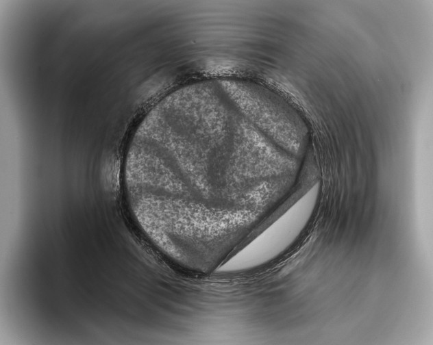 X0000095540454200801111436