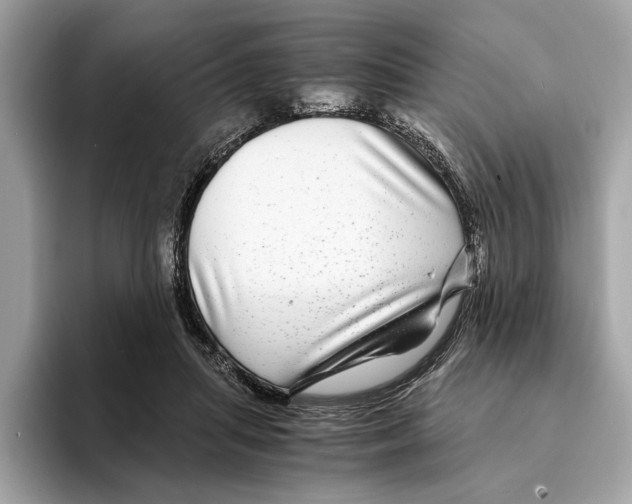 X0000095540455200801111436