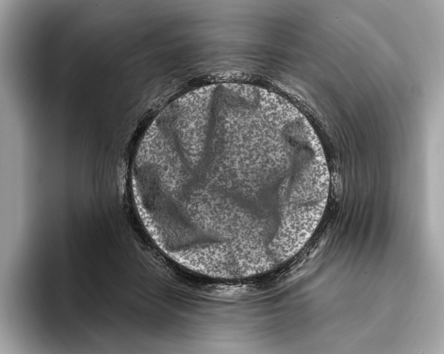 X0000095540458200801111436