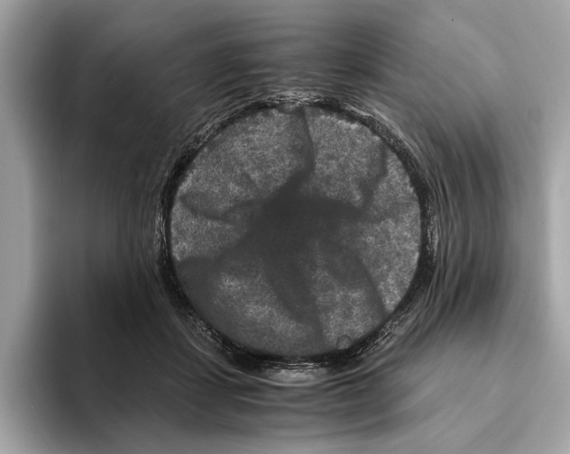 X0000095540459200801111436