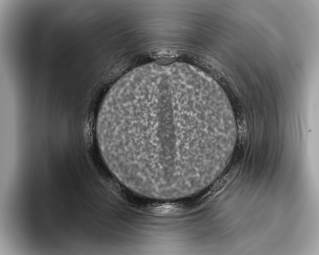 X0000095540460200801111436