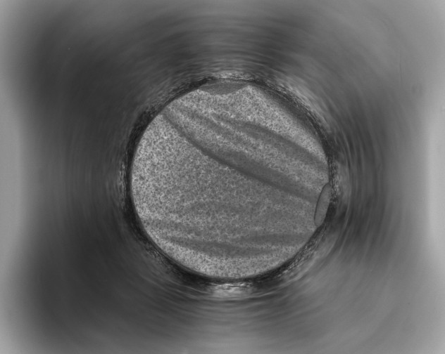 X0000095540461200801111436