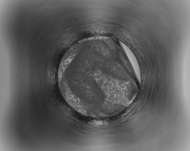 X0000095540464200801111437