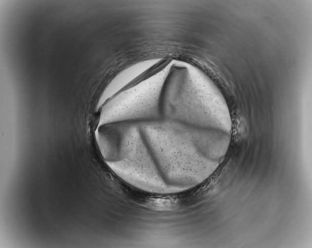 X0000095540466200801111437