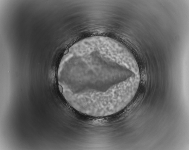 X0000095540468200801111437