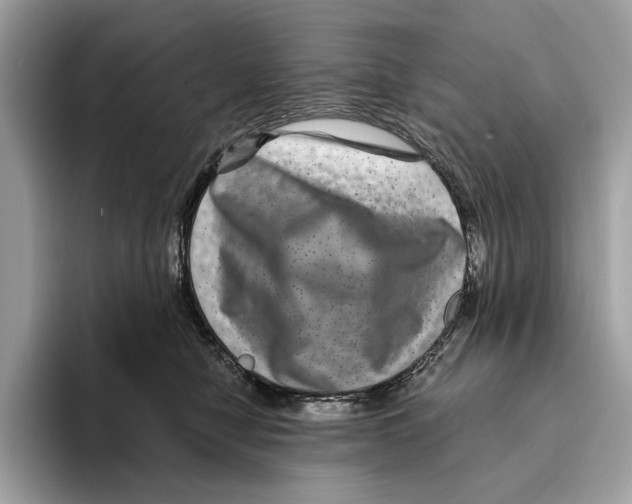 X0000095540470200801111437