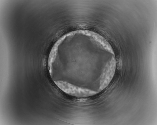 X0000095540472200801111437