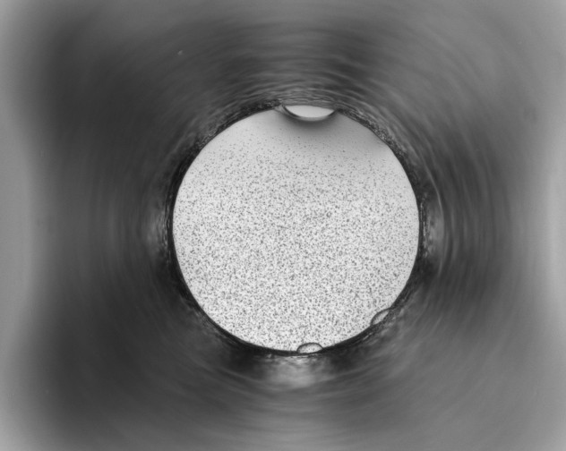 X0000095540473200801111437