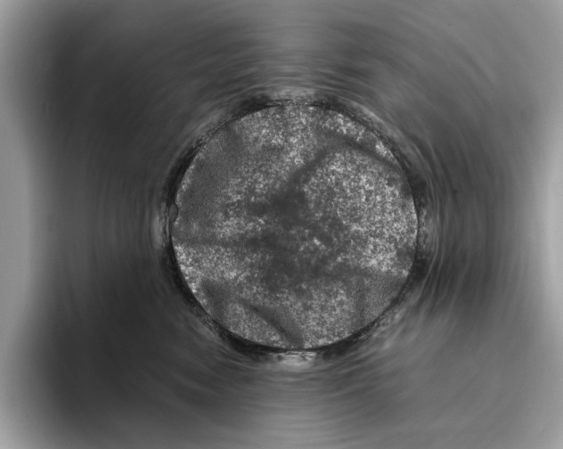 X0000095540474200801111437