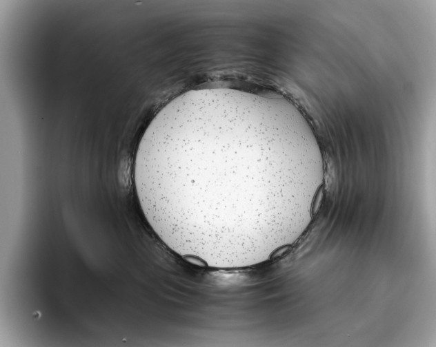 X0000095540477200801111437