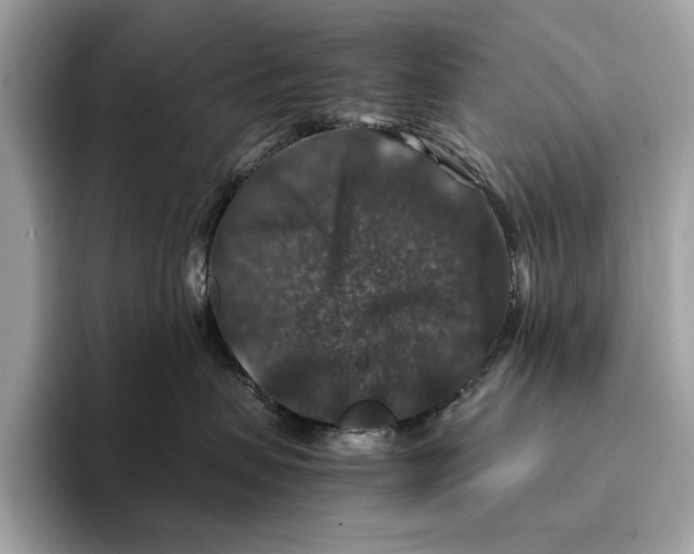 X0000095540479200801111437