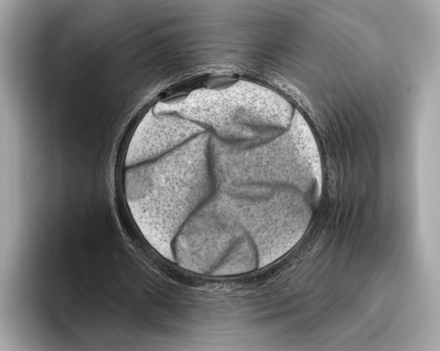 X0000095540482200801111436