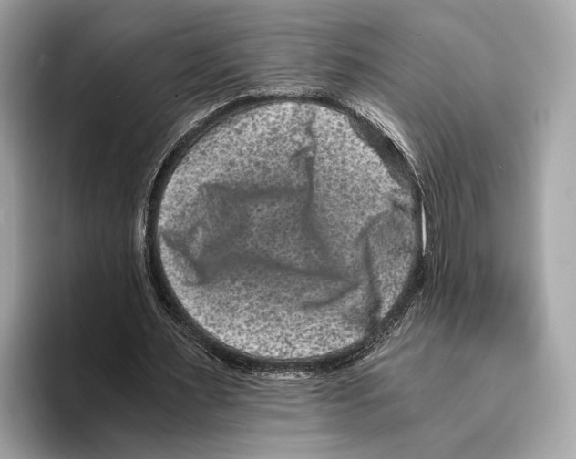 X0000095540483200801111436