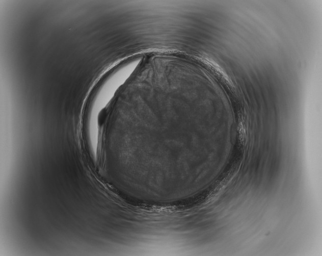 X0000095540484200801111436