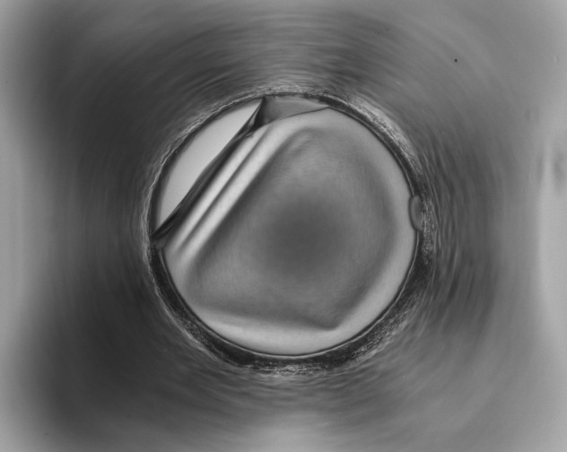 X0000095540485200801111436