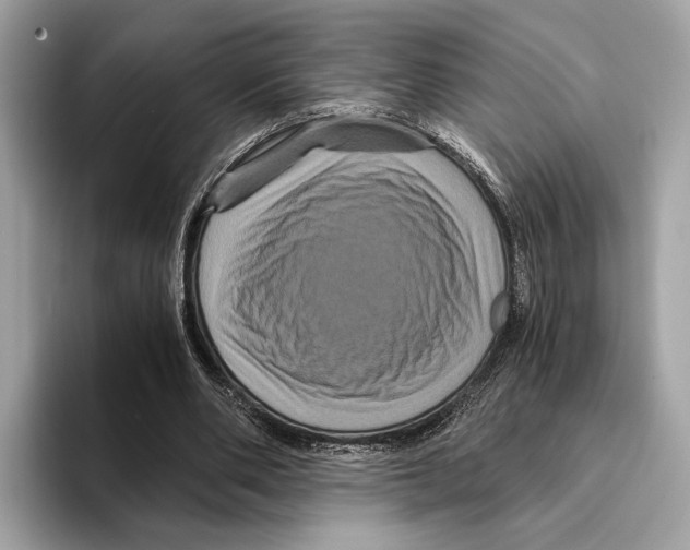 X0000095540486200801111436