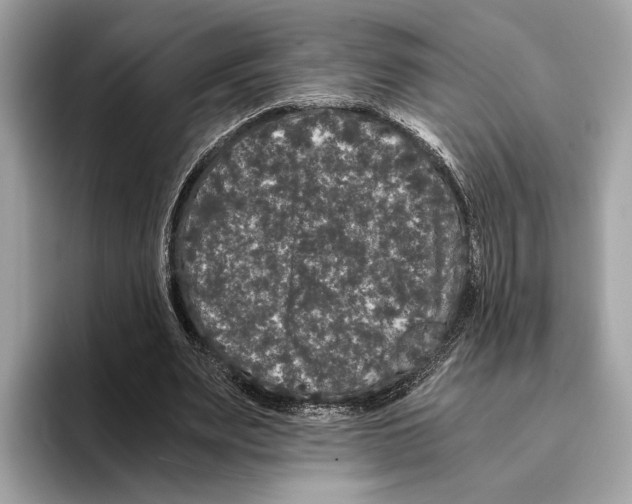 X0000095540487200801111436