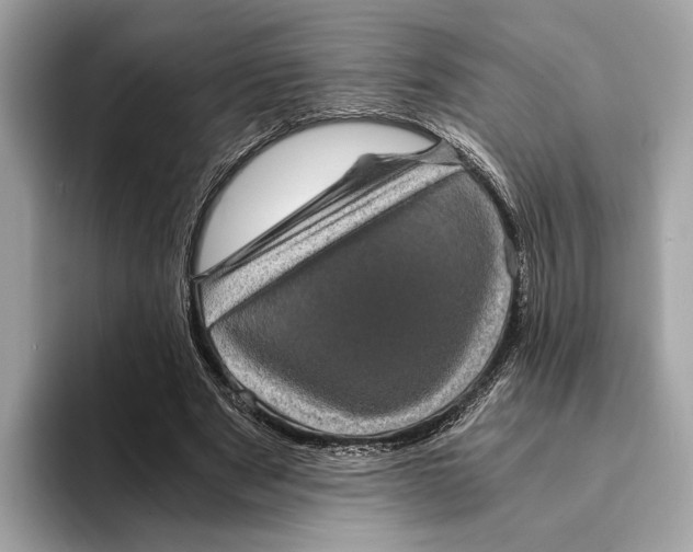 X0000095540489200801111436