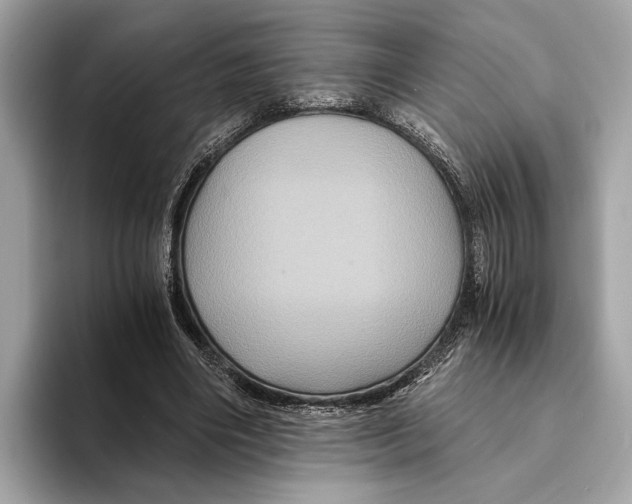 X0000095540490200801111436