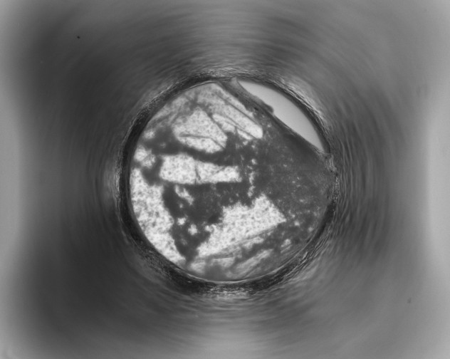 X0000095540491200801111436