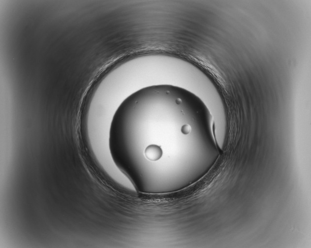 X0000095540492200801111436