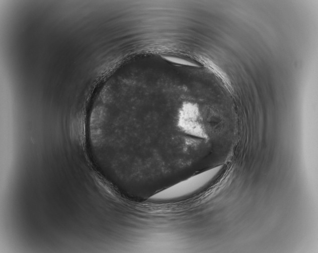 X0000095540493200801111436