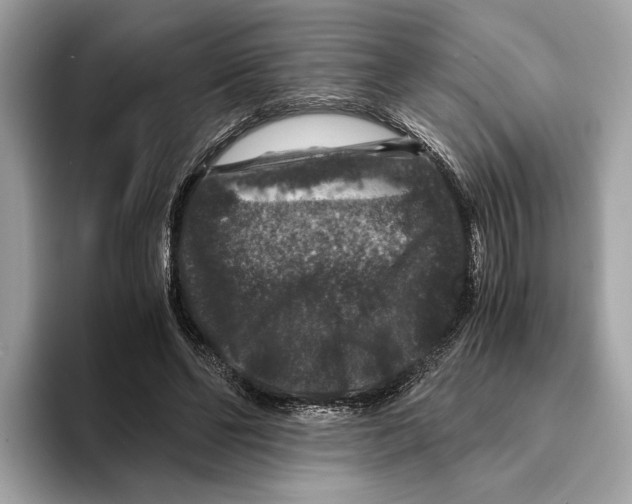 X0000095540494200801111436