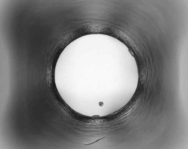 X0000095540497200801111436