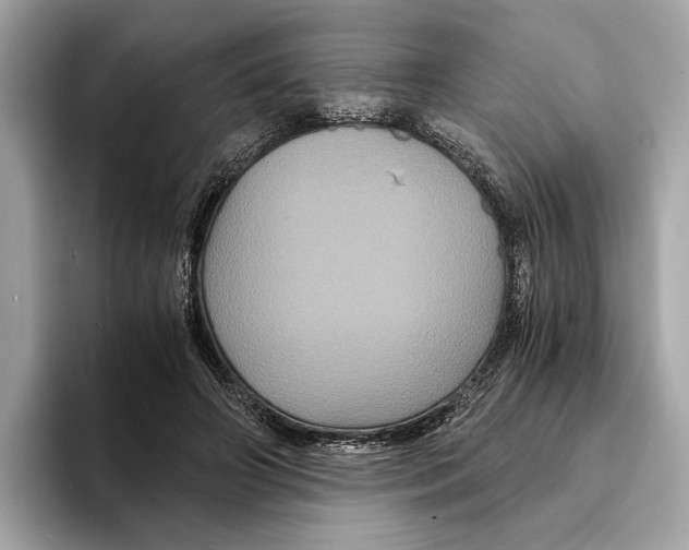 X0000095540498200801111436