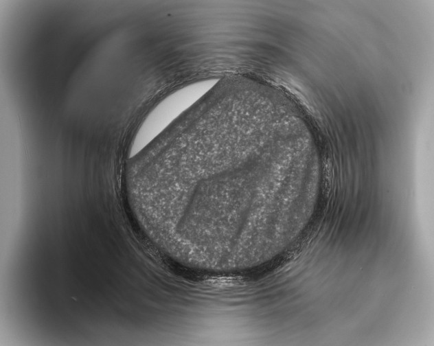 X0000095540499200801111436