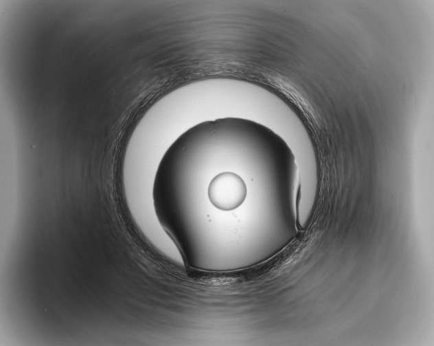 X0000095540501200801111436