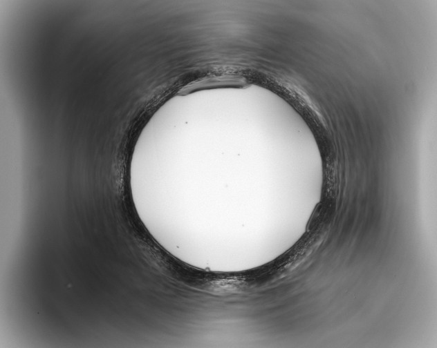 X0000095540505200801111436