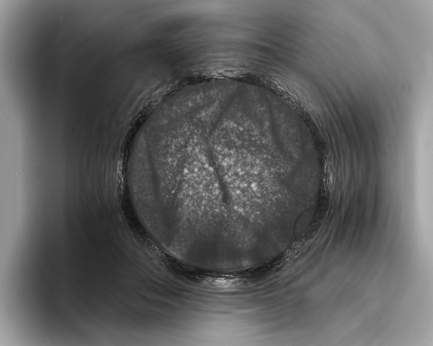 X0000095540506200801111436