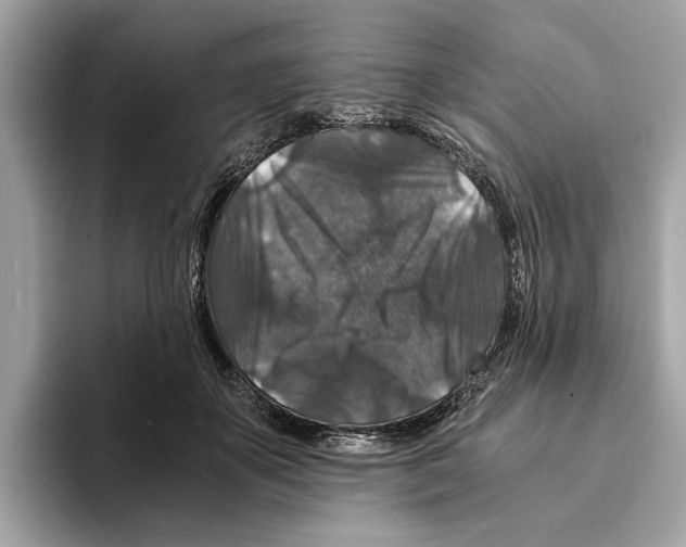 X0000095540507200801111436