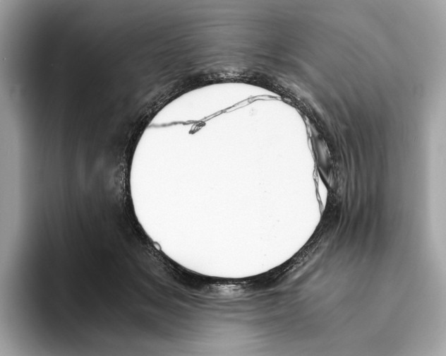 X0000095540509200801111436