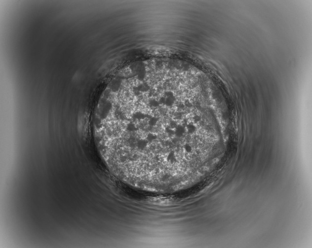 X0000095540511200801111436