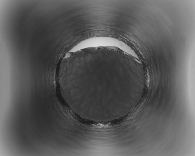 X0000095540512200801111436