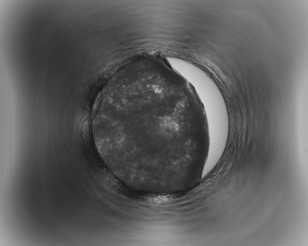 X0000095540513200801111436