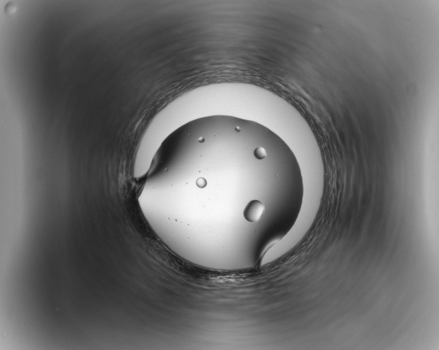 X0000095540516200801111436