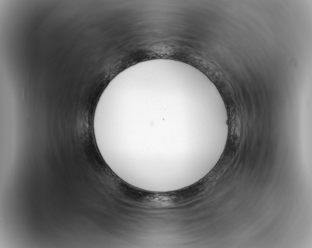 X0000095540518200801111436