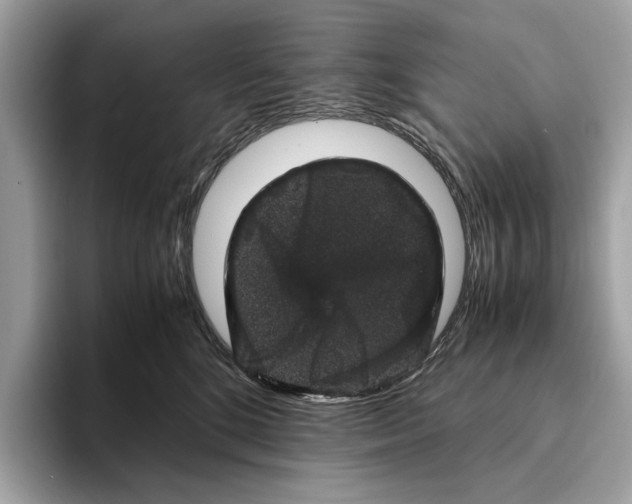 X0000095540520200801111436