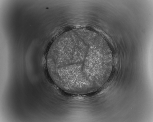 X0000095540523200801111436