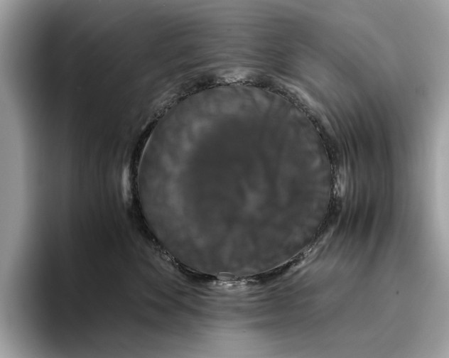 X0000095540524200801111436