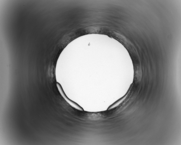 X0000095540525200801111436