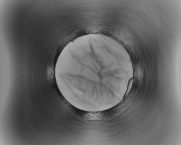 X0000095540526200801111436